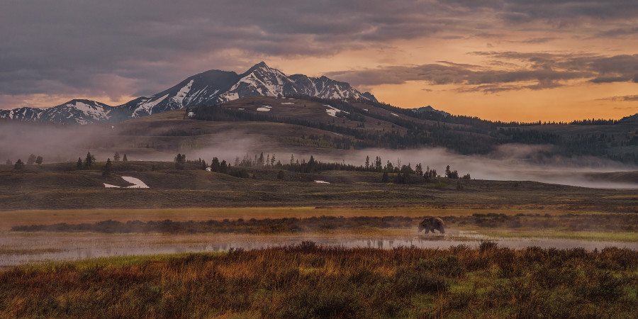 The Heart of Yellowstone