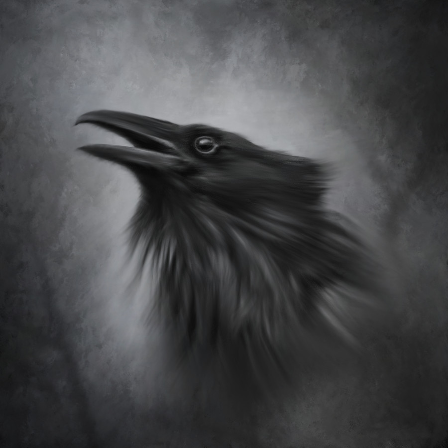 The Raven